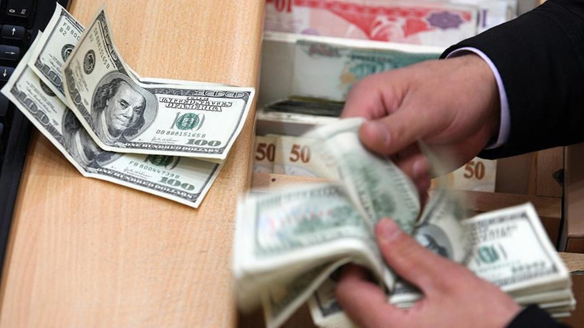 Dünyaca ünlü ekonomistten "Türkiye sürekli döviz krizi döngüsünde" çıkışı! "Devalüasyon kaçınılmaz" uyarısı, Görsel 1