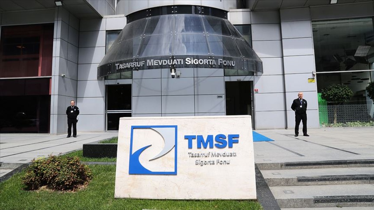 TMSF 20 milyar TL yi aşan ihaleyi başlattı: Aydınlı Grubu satışta!, Görsel 2