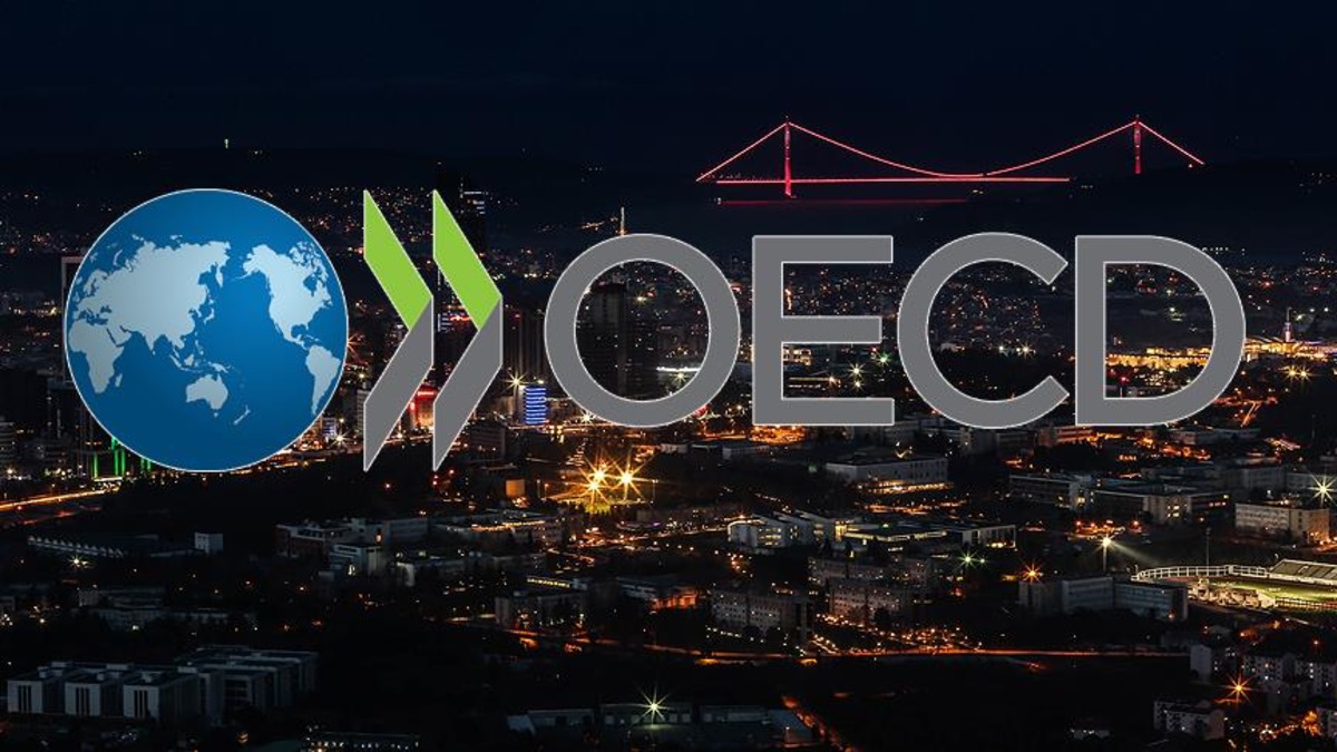 OECD den dikkat &ccedil;eken b&uuml;y&uuml;me raporu! Tarih verdi: T&uuml;rkiye zirvede olacak, G&ouml;rsel 2
