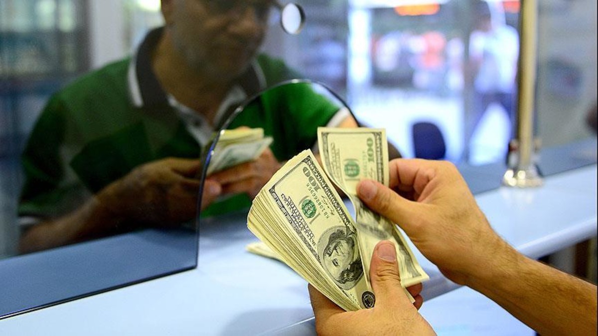 Merkez Bankası rezervlerinde güçlü artış, Görsel 4