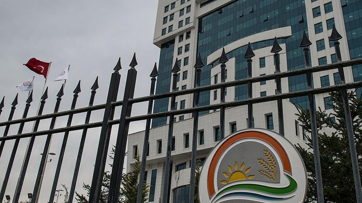 Tarım Bakanlığı kontrolündeki ürünlerin ülkeye girişinde yeni düzenleme, Görsel 1