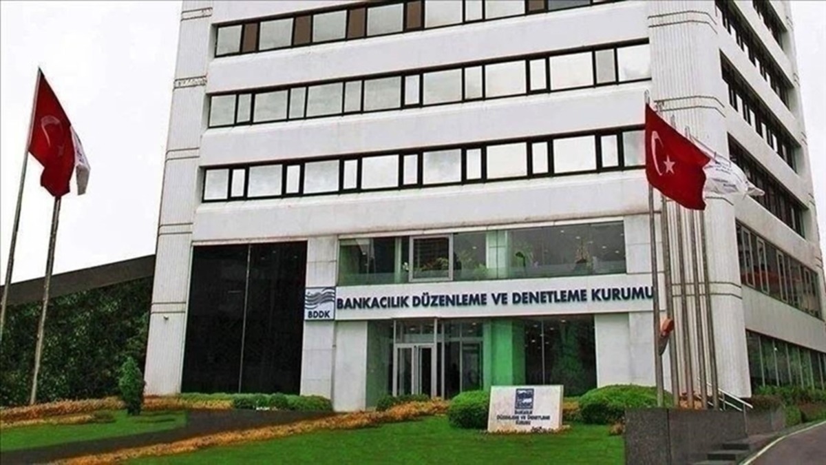 BDDK dan banka dışı mali kuruluşlara ilişkin yeni d&uuml;zenleme, G&ouml;rsel 1