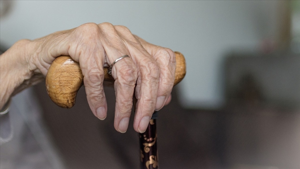Devlet destekli yeni model! Yaşlılıkta bakım sigortası d&ouml;nemi başlıyor, G&ouml;rsel 2