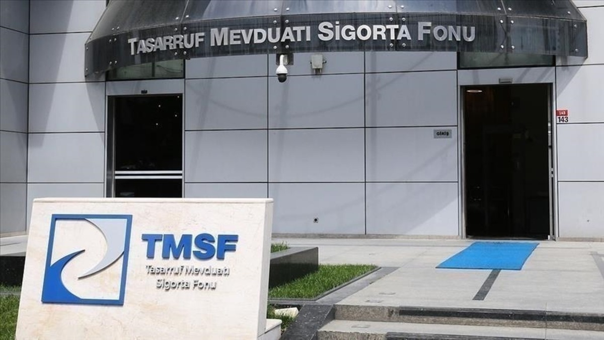 T&uuml;rkiye nin "gizli devi" oldu: En b&uuml;y&uuml;k holding kuruldu, G&ouml;rsel 1
