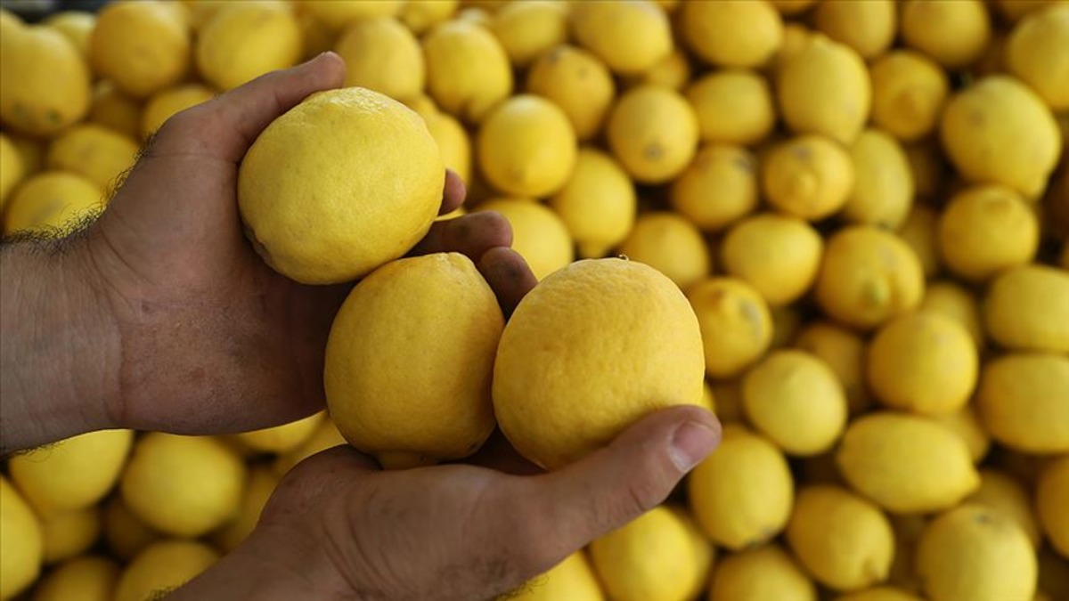Limon ihracatında yeni karar! Yasak 1 g&uuml;n s&uuml;rd&uuml;...  Bakan Bolat  korumaya ve desteklemeye devam edeceğiz  diyerek duyurdu, G&ouml;rsel 1