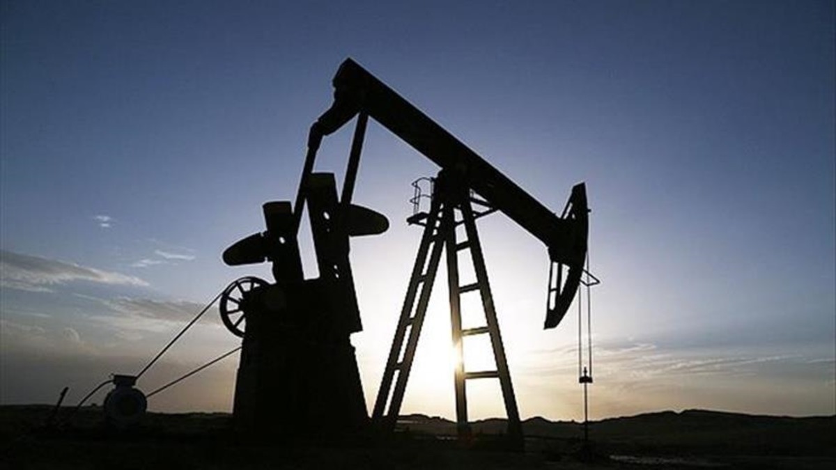OPEC in ham petrol üretim temmuz rakamları açıklandı, Görsel 1