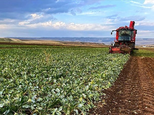 Bakanlık duyurdu! &Ccedil;ift&ccedil;ilere destek &ouml;demesi yapılacak