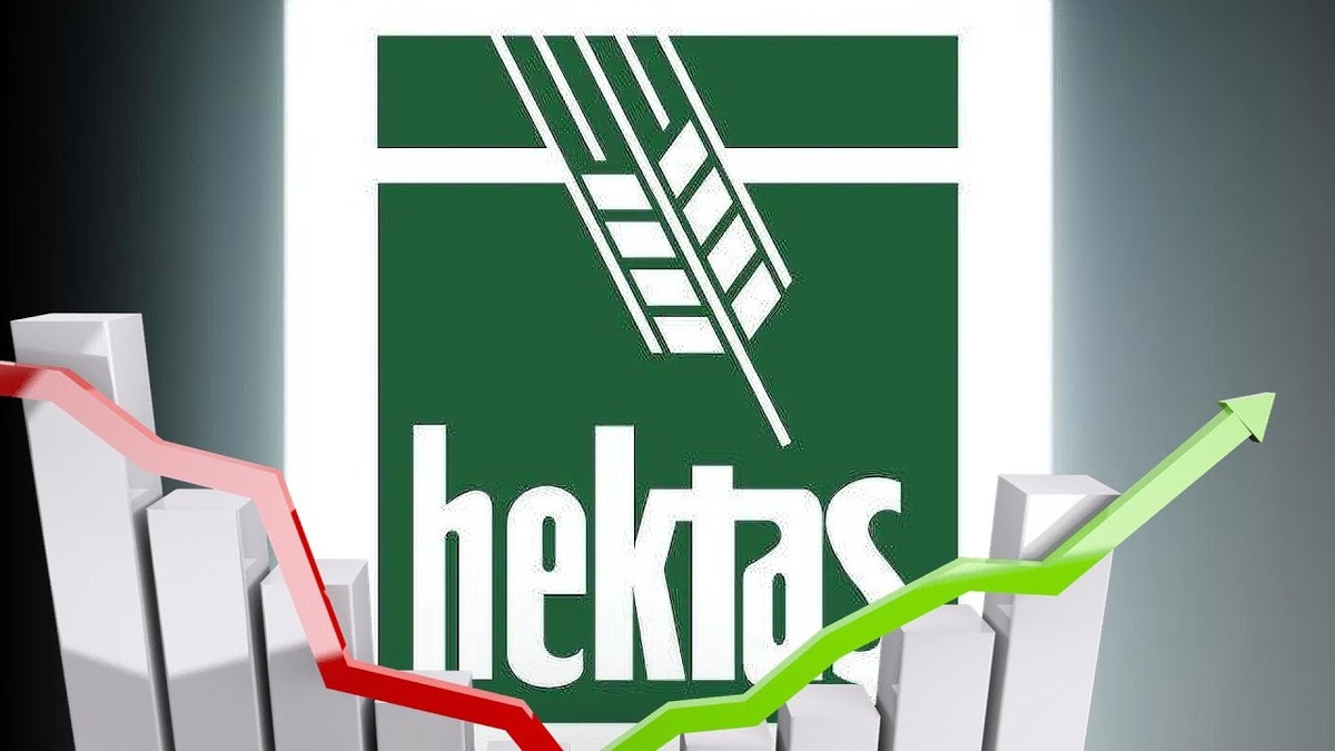 HEKTS direnci zorluyor: Kurumsal alımlar yükselişi destekliyor mu?, Görsel 3