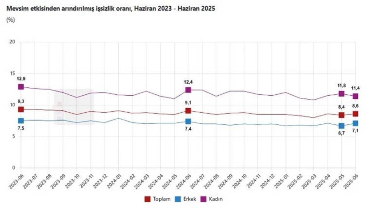 T&Uuml;İK duyurdu! Haziran ayı işsizlik rakamları belli oldu, G&ouml;rsel 1