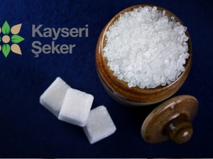 Kayseri Şeker (KAYSE) temett&uuml; kararını duyurdu