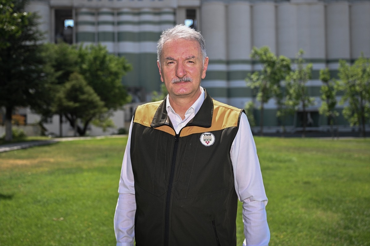 Fındık rekoltesinin bu yıl 453 bin ton olması bekleniyor, G&ouml;rsel 1