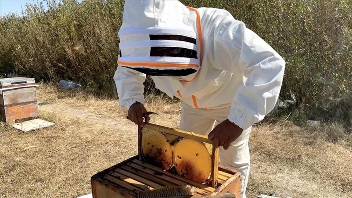 Balın kilogram maliyeti 325 lira olarak hesaplandı, G&ouml;rsel 1