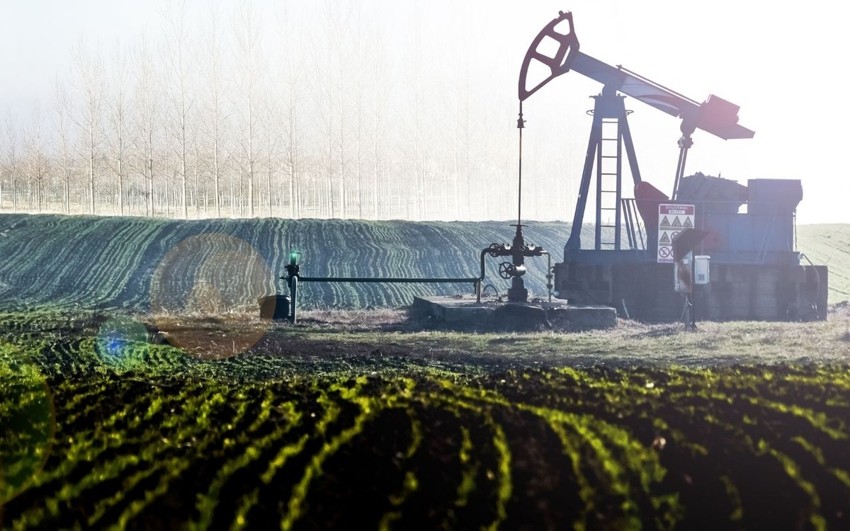 ABD petrol fiyatı tahminini aşağı &ccedil;ekti, G&ouml;rsel 2