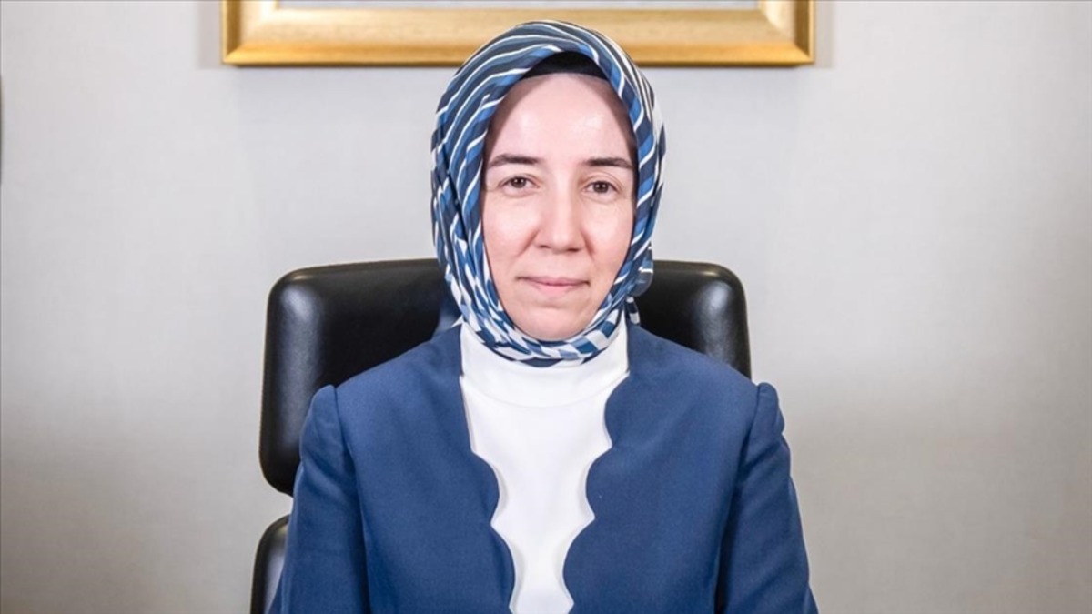 TCMB Başkan Yardımcısı&rsquo;ndan rezerv &ccedil;ıkışı: &ldquo;Eşiği ge&ccedil;tik ama yeterli değil&rdquo;, G&ouml;rsel 1