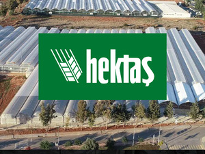 HEKTS&rsquo;te altın kesişme! Yabancılar &ccedil;apayı atmış, deniz sakin