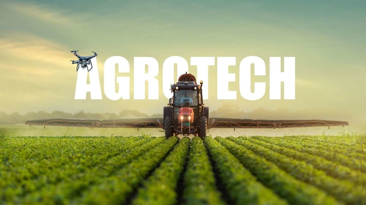 Agrotech bilançosunda kayıplar artıyor: İkinci çeyrekte zararı katlandı!, Görsel 1