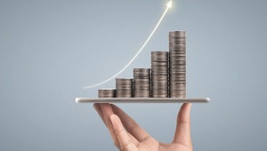 Yarın temett&uuml; g&uuml;n&uuml;: 2 şirket nakit k&acirc;r payı dağıtacak