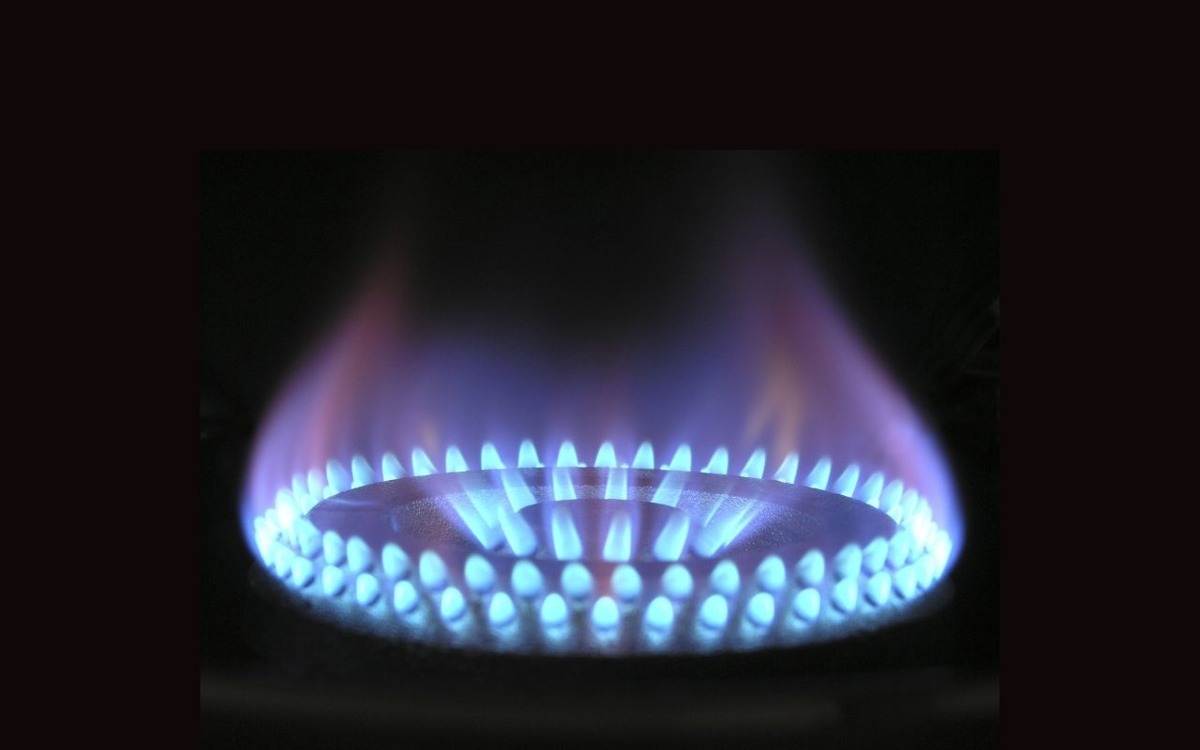 Bakan Bayraktar: 16 milyon haneye gaz desteği verilecek, Görsel 3