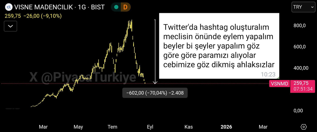 VSNMD fiyatı yapay şişirildi mi? K&uuml;&ccedil;&uuml;k yatırımcı derin zararda, G&ouml;rsel 3