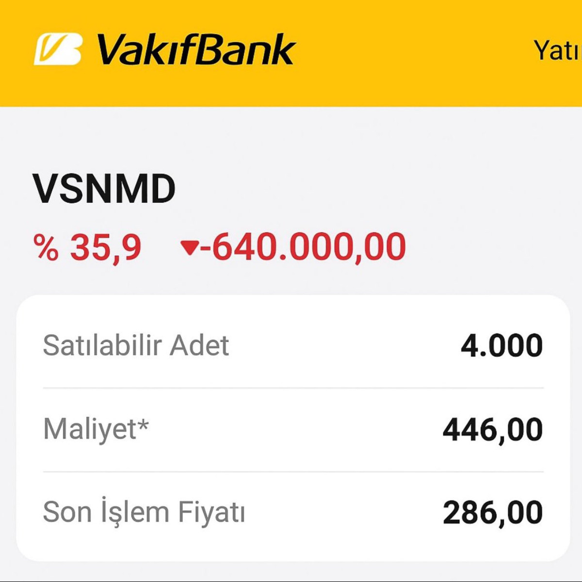 VSNMD fiyatı yapay şişirildi mi? K&uuml;&ccedil;&uuml;k yatırımcı derin zararda, G&ouml;rsel 4