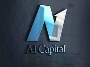 A1 Capital'in alım y&ouml;n&uuml;nde izlediği hisseler belli oldu 