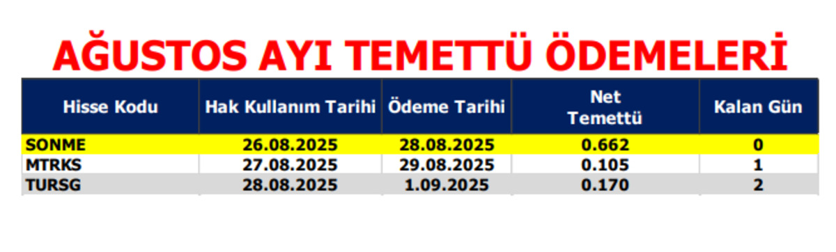 A1 Capital b&uuml;lteni paylaştı: Model portf&ouml;y ve temett&uuml; &ouml;demeleri belli oldu, G&ouml;rsel 2