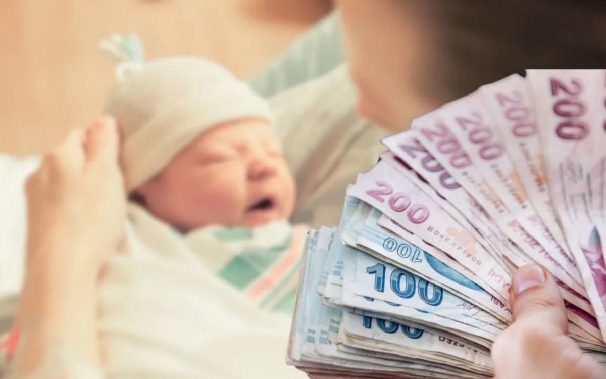 Aile Desteği Programlarına nasıl erişilir?, Görsel 1