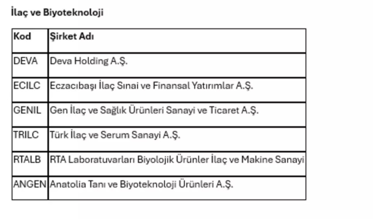 Hasta sayısındaki d&uuml;ş&uuml;ş borsadaki sağlık şirketlerini baskılıyor, G&ouml;rsel 2