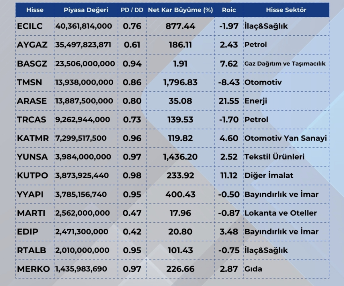 Sanayi devlerinin gerçek değeri nerede? Borsa fiyatı defter değerine takıldı, Görsel 1