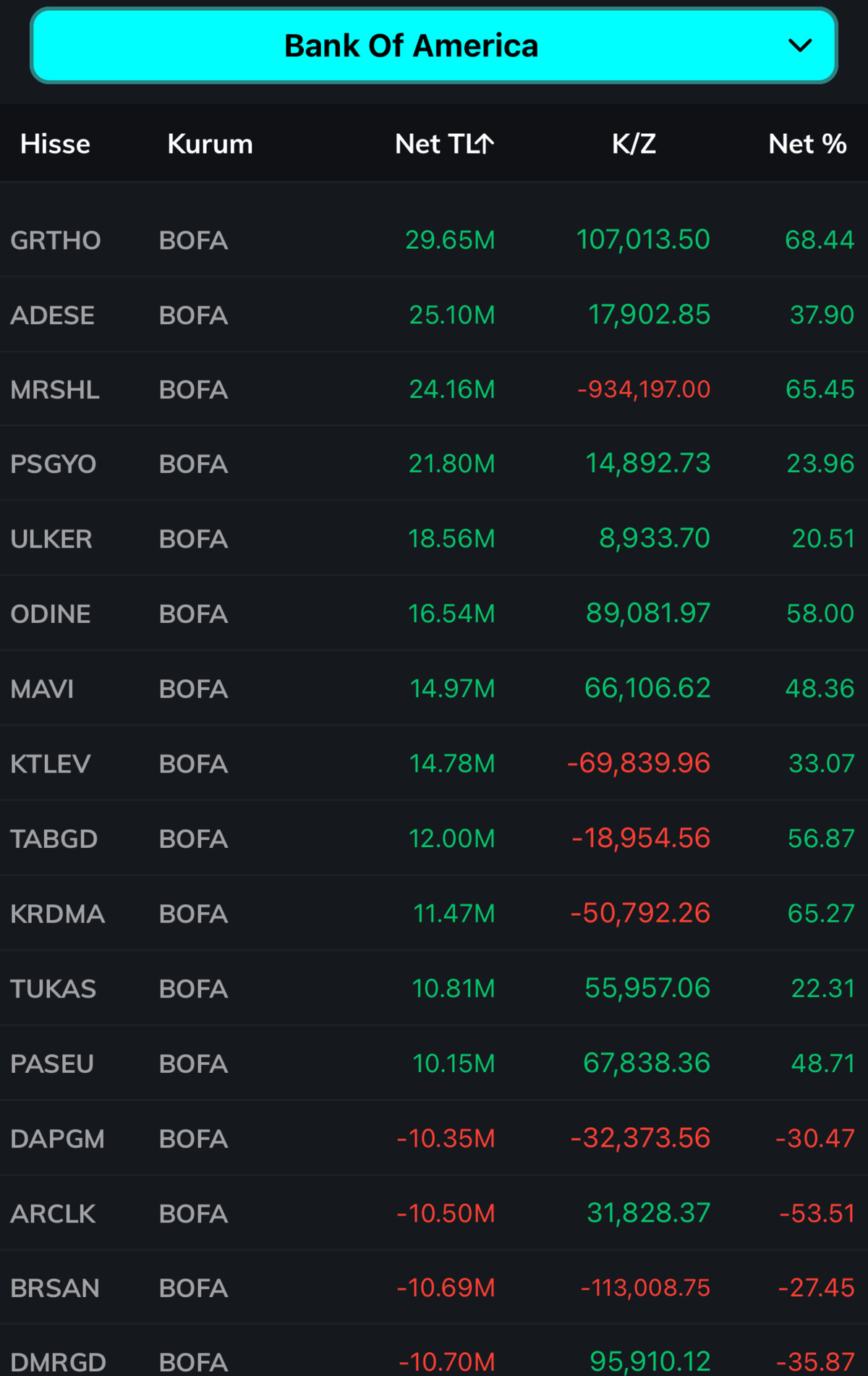 BofA’nın radarına girdiler! En çok alım yaptığı hisseler belli oldu, Görsel 1