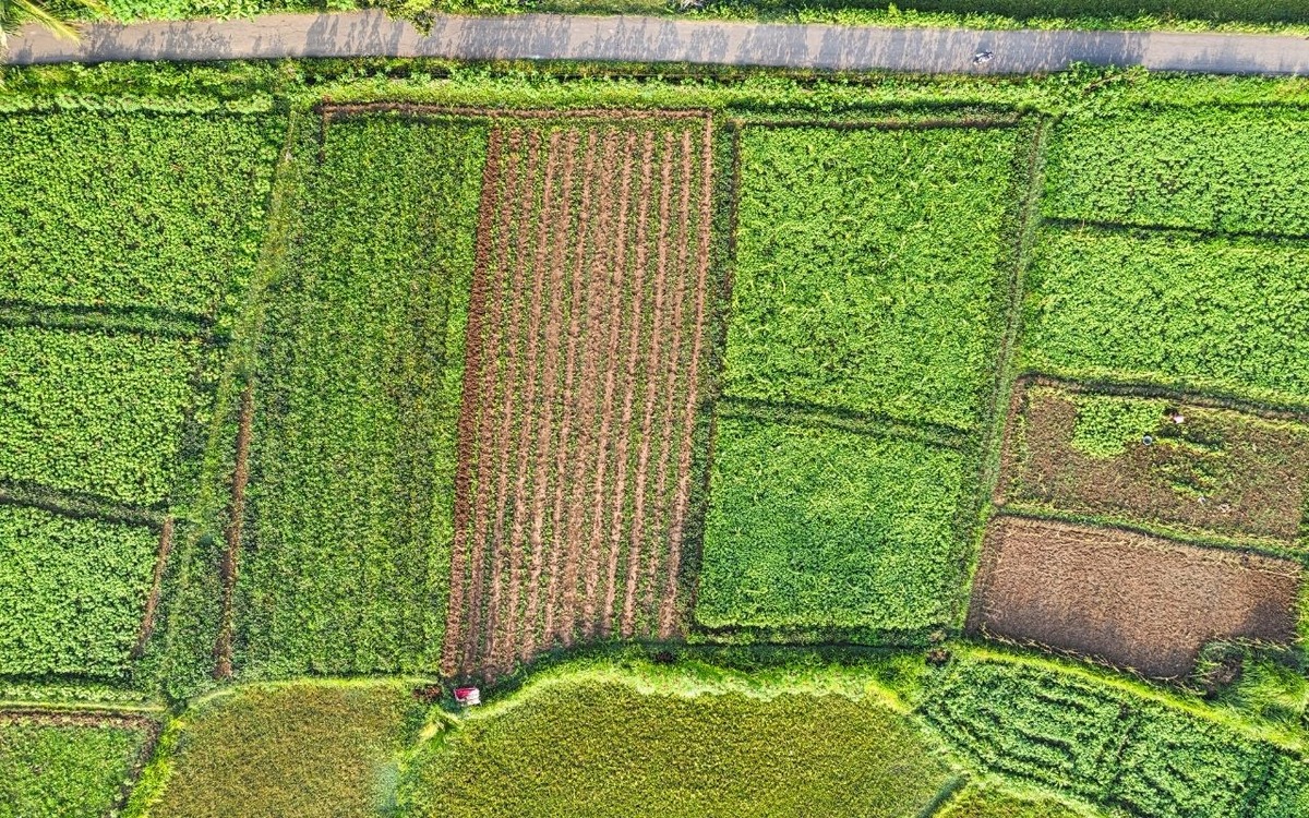 Bitkisel üretimde yeni desteklemelerin detayları açıklandı, Görsel 3