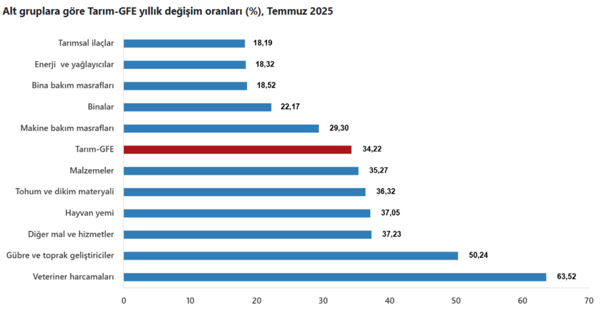 SON DAKİKA| TÜİK açıkladı: Tarımsal girdi fiyat endeksi temmuzda artışa devam etti, Görsel 2