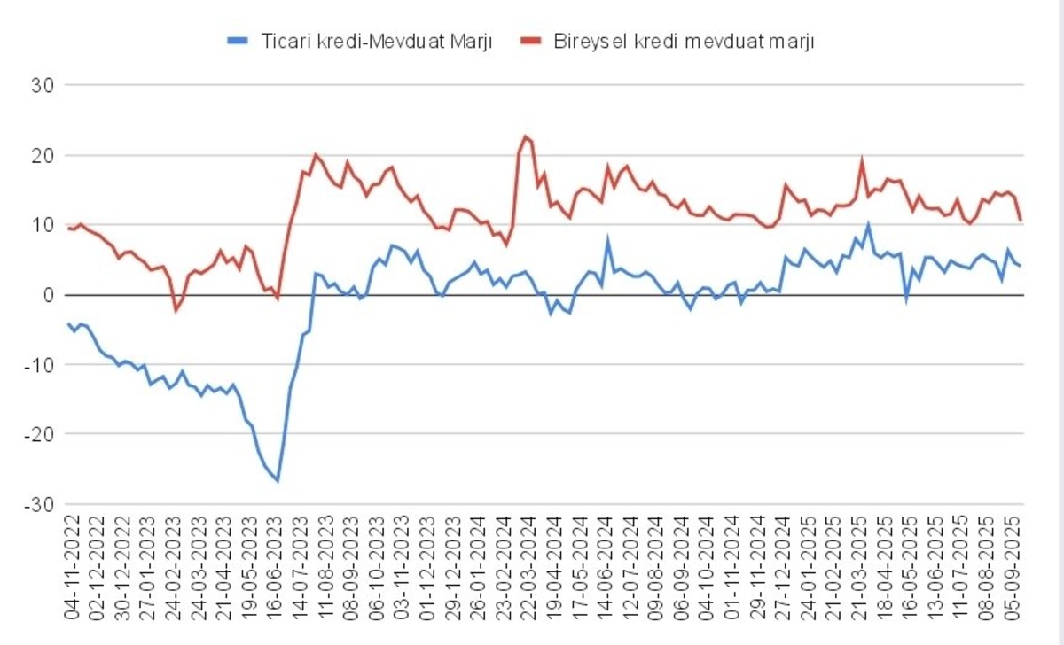 Bankaların kredi-mevduat marjları hızla daralıyor, Görsel 1