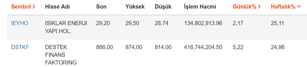 100 bin TL, 125 bin TL oldu: İşte haftanın en çok kazandıran 2 hissesi, Görsel 1