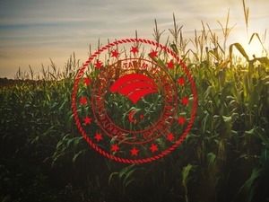 Tarım Bakanlığı kontrol&uuml;ndeki &uuml;r&uuml;nlerin &uuml;lkeye girişinde yeni d&uuml;zenleme