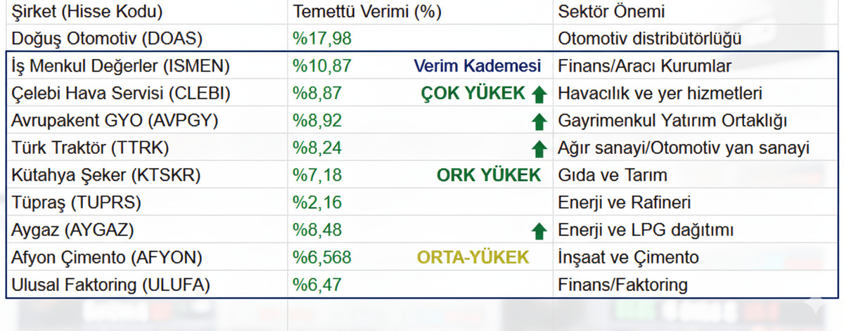 Borsa İstanbul da temettü şampiyonları: Bu hisseler yatırımcılarını kâra doyurdu, Görsel 1