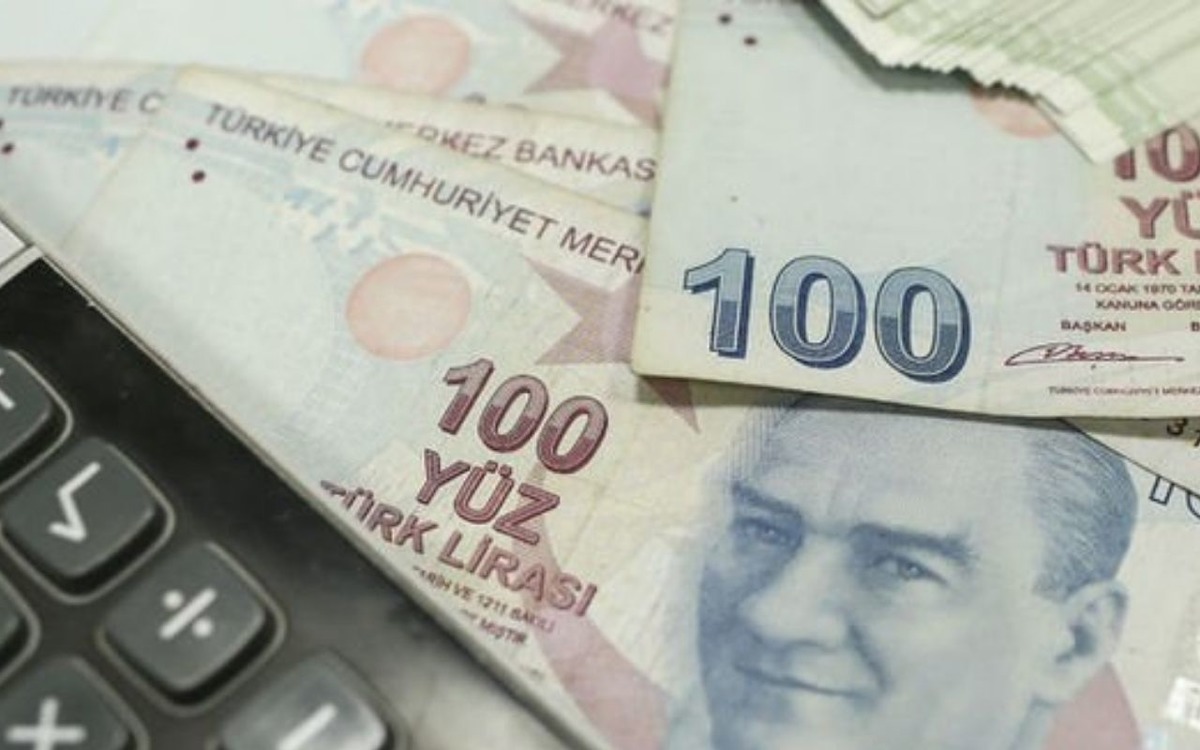 Ekonomist Elgin: &ldquo;Asgari &uuml;crete y&uuml;zde 50 zam yapılmalı&rdquo;, G&ouml;rsel 1