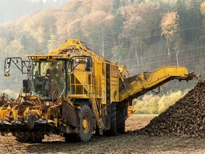 Tarım Bakanlığı a&ccedil;ıkladı: Şeker pancarına kısıt mı gelecek?