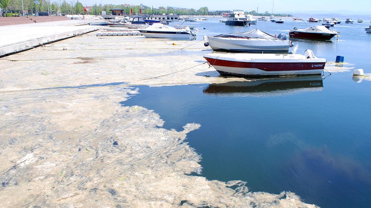 Balık&ccedil;ılara m&uuml;jde! 7 il i&ccedil;in ilave &ouml;deme yapılacak, G&ouml;rsel 2