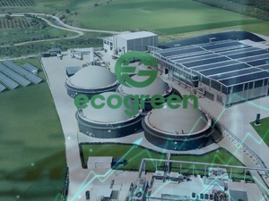 Halka arzda b&uuml;y&uuml;k hata: Ecogreen&rsquo;in fiyat tespitinde 11 milyon TL&rsquo;lik sapma