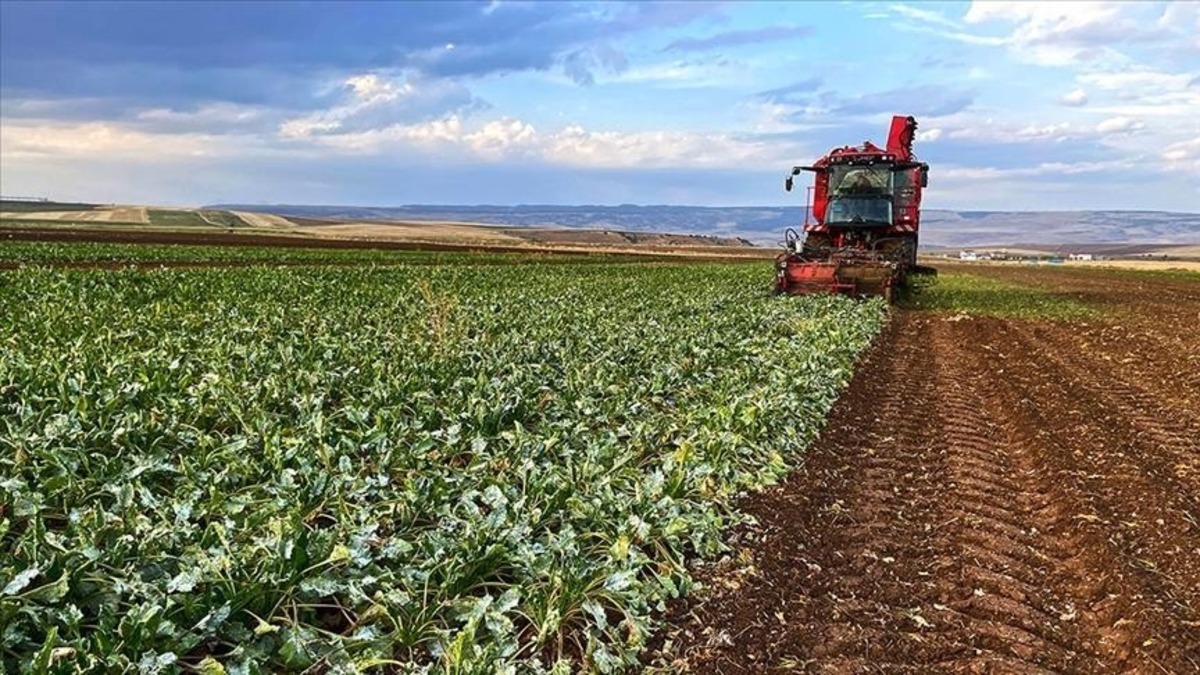 TEPAV a&ccedil;ıkladı! T&uuml;rkiye&rsquo;de sigortalı &ccedil;alışan sayısı 26,5 milyonu aştı, G&ouml;rsel 1