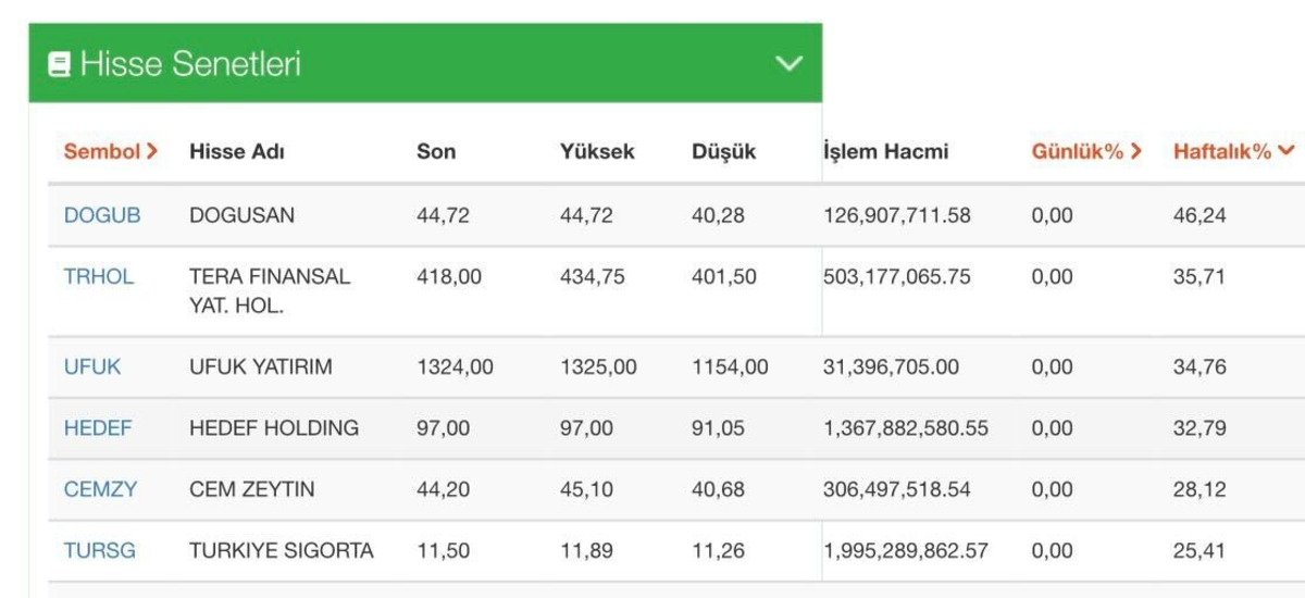 Hafta bitmeden rüzgarı arkasına alan 5 hisse: DOGUB, TRHOL, UFUK, HEDEF, CEMZY, Görsel 1