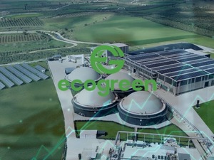 Ecogreen Enerji'nin halka arz sonucu geldi: Ka&ccedil; lot verdi?