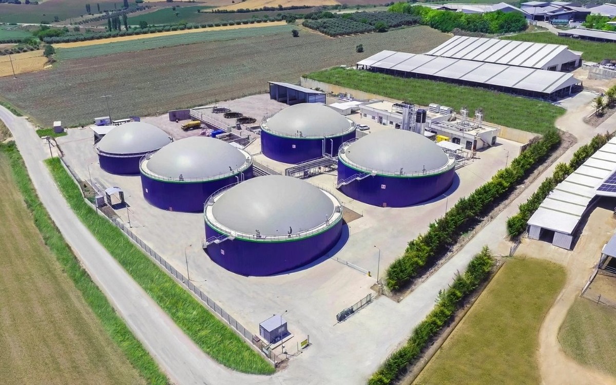 Yeni halka arz EcoGreen&rsquo;de tavan serisi s&uuml;r&uuml;yor mu? İşte ECOGR hisselerinde son durum!, G&ouml;rsel 1