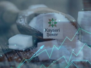 56 TL&rsquo;den 15 TL&rsquo;ye D&uuml;şt&uuml;! Şimdi Y&uuml;zde 300 Bedelsiz Sermaye Artırımına Gidiyor
