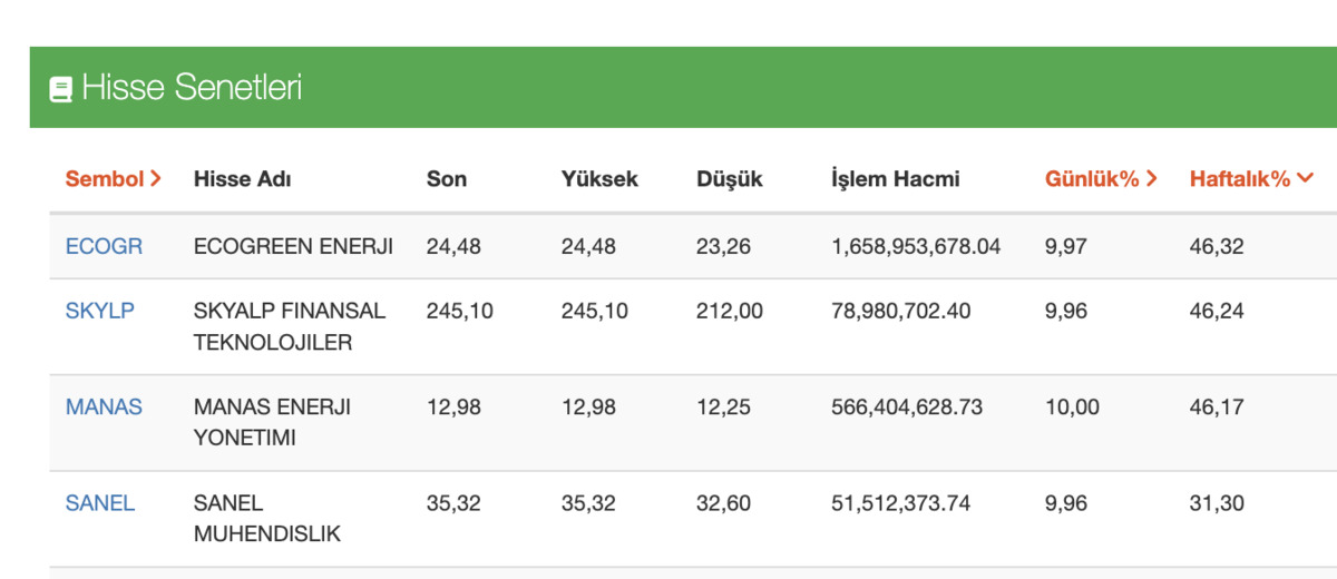 ECOGR, SKYLP, MANAS, SANEL…Sadece Dört Günde Yüzde 40 Üstü Kazandırdılar!, Görsel 1