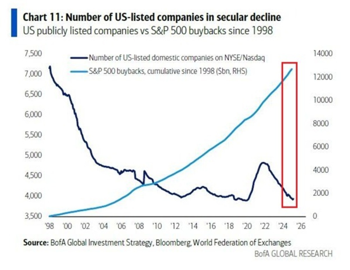 ABD borsaları k&uuml;&ccedil;&uuml;l&uuml;yor! Nasdaq ve NYSE&rsquo;de halka a&ccedil;ık şirket sayısı rekor d&uuml;ş&uuml;şte, G&ouml;rsel 1