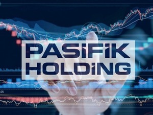 Pasifik Holding (PAHOL) i&ccedil;in Borsa İstanbul'dan a&ccedil;ıklama geldi