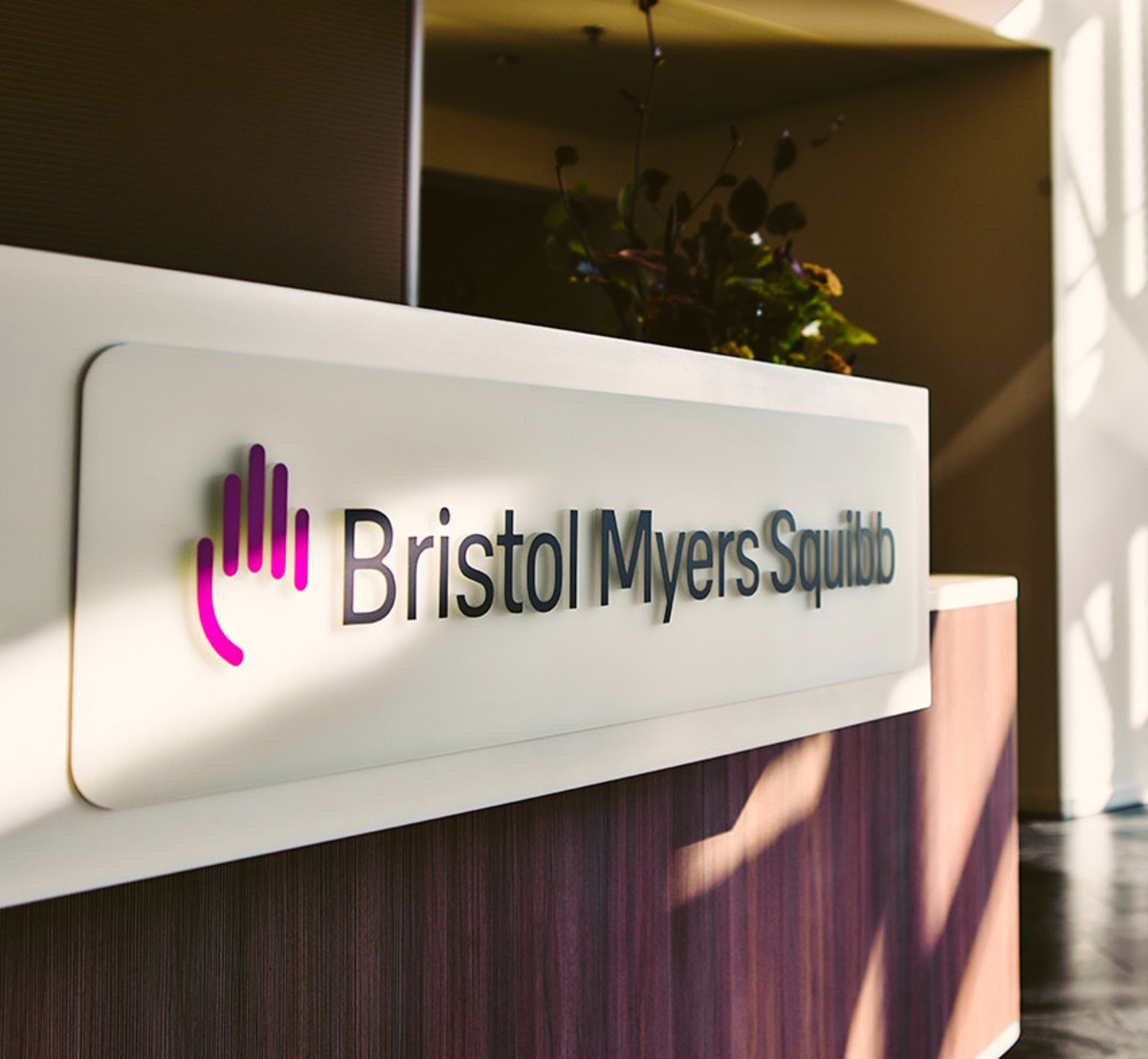 Yüksek temettü, düşük fiyat: Pfizer ve Bristol Myers yeniden radarda, Görsel 2
