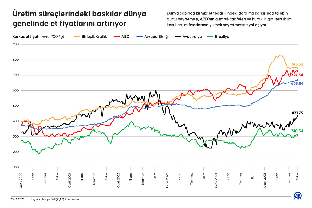 Dünya çapında fiyatları rekor kırıyor! Türkiye de durum tam tersi, Görsel 1